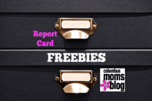 report-card-freebies-2016