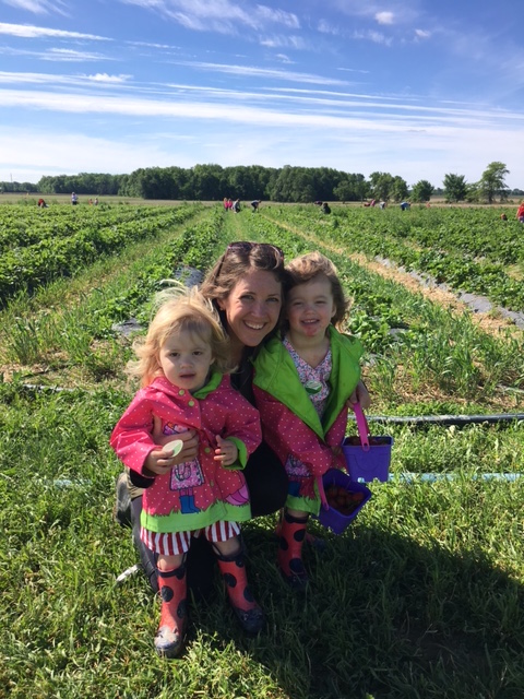 U-Pick Berry Farms in and Near Central Ohio