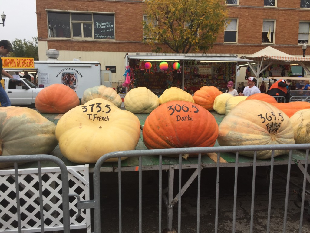 Top Family-friendly Fall Traditions In Columbus