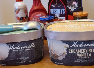 hudsonville vanilla ice cream