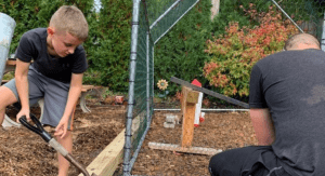 building a chicken coop