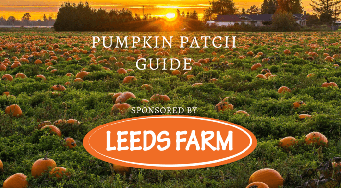 pumpkin patch guide