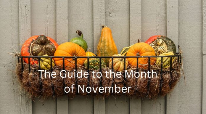 guide to november
